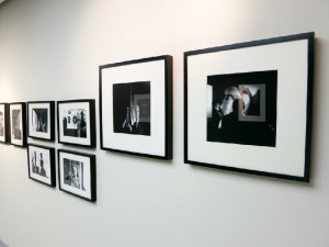 Chi s'è visto s'è visto. Bruno Munari, Ada Ardessi e Atto, Installation view, Museo del Novecento, 2014, courtesy Isisuf