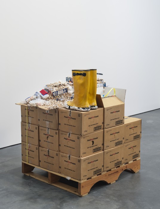 Images courtesy of David Zwirner, New York/London