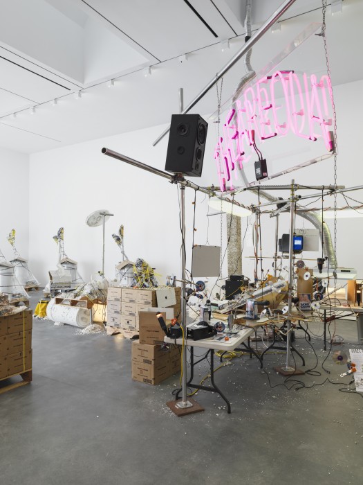Images courtesy of David Zwirner, New York/London