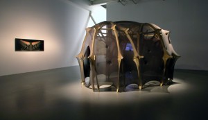 Ernesto Neto, After Utopia, Installation view, ph. courtesy Isisuf